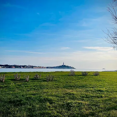 Bordeaux 29 * Ρόβινι