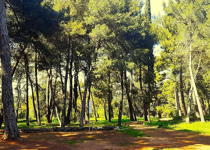 Διαμέρισμα Bordeaux 29 Ρόβινι