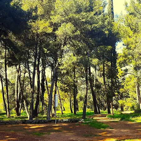 דירה Bordeaux 29 רוביני