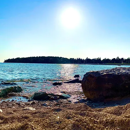 아파트 Bordeaux 29